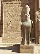 Horus garde les lieux