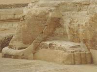 Dtail d'une patte arrire du sphynx