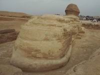 Vue du derrire du sphynx
