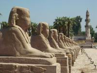 A l'poque, cette alle de sphinx reliait Louxor  Karnak
