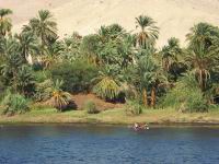 La campagne Egyptienne, au bord du Nil