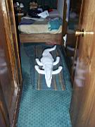 Il y a un crocodile dans notre cabine